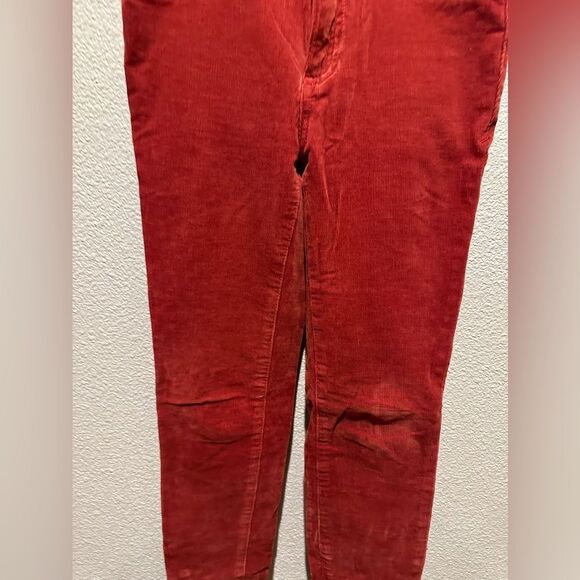 Pilcro and the Letter Press Burnt Orange High Rise Skinny Size 26 - Picture 2 of 11